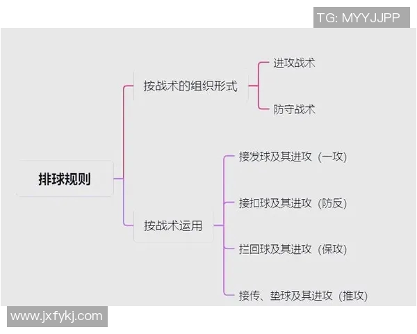 排球新手必看：全面掌握状态与技巧的入门指南